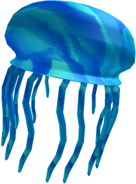 Jellyfish